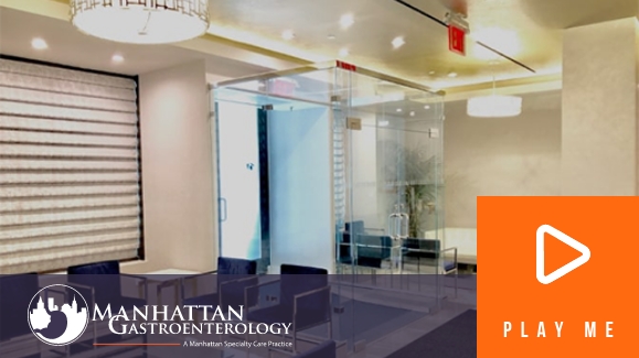 Manhattan Gastro Intro Video