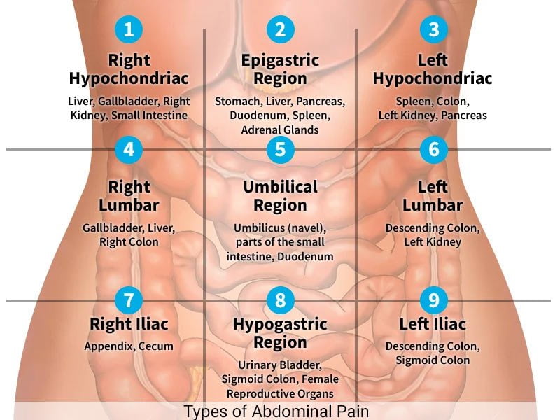 Types of Abdominal Pain