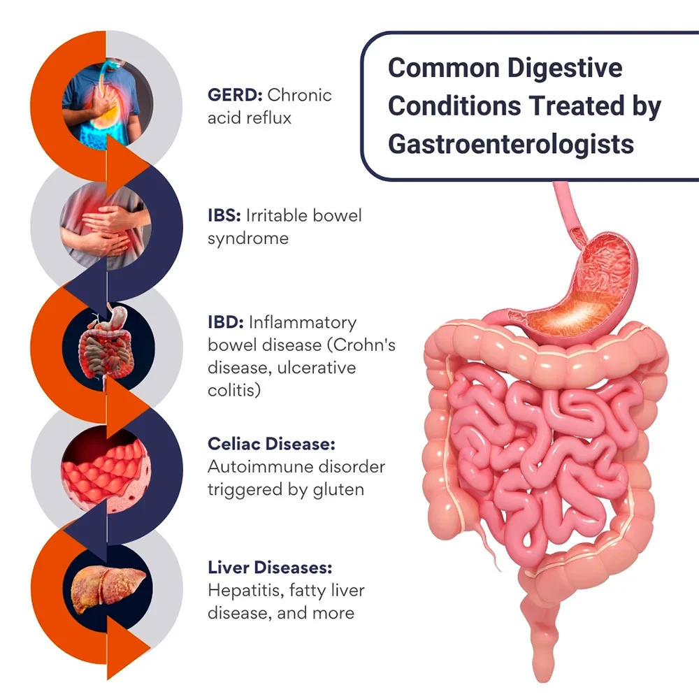 Common Digestive Conditions Treated by Gastroenterologists